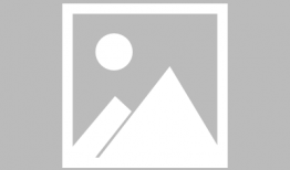 娱乐圈吃瓜爽文合集,揭秘明星幕后真相，吃瓜爽文大合集